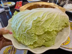 -芦月轩羊蝎子(北蜂窝店)