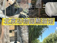 -超菲特健身工作室(晨月店)