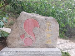 -欢乐松鼠谷