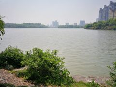 -范蠡湖公园