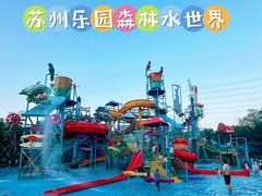 -苏州乐园森林水世界
