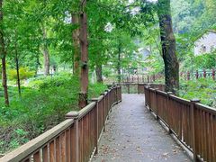 -素山寺森林公园