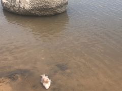 -上海月湖雕塑公园