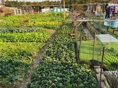 -小鱼草莓采摘园农家乐·小鱼餐厅