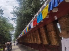-云南民族村