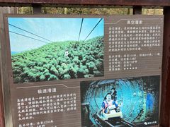 -宁波浙东大竹海景区