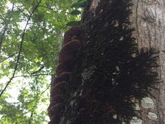 -藏龙百瀑风景区