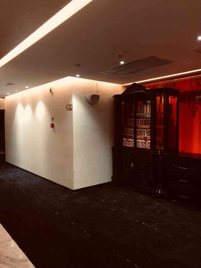 赛江南艺术餐厅(八一路店)-"位于武昌八一路上的赛江南酒店,因其不在