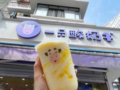 -一只酸奶牛(奎星楼店)