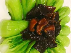 -圆苑(上海广场店)