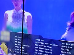 -皓声音KTV(新景店)