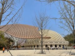 -牛首山文化旅游区