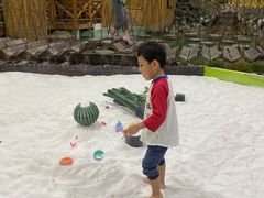 -上海大自然野生昆虫馆(东方明珠·爬宠昆虫探索中心)