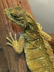 -Zoolung Zoolung动物主题公园(海信广场店)