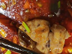 -烧哥美蛙肥肠鱼火锅·十五年社区店