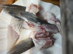 -源港渔村-中山脆肉鲩(博罗店)