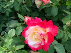 -上海科技馆(地铁站)