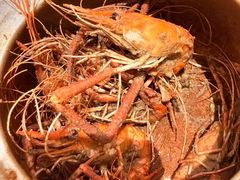 -隅乐胡椒虾·台湾菜·团建(皇岗店)