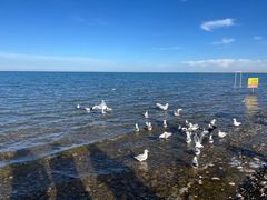 -青海湖国家重点风景名胜区