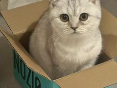 -宠颐生宠物医院·骨外科·犬猫全科诊疗中心(池州店)