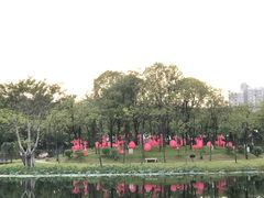 -映月湖公园