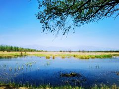 -野鸭湖国家湿地公园