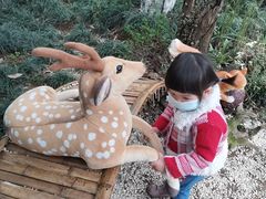 -杭州少年儿童公园