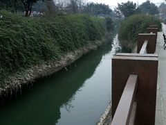 -神仙树公园
