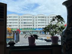 -老木瓜(同心路店)
