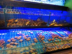 -透明思烤·自助烤肉海鲜火锅(东部星悦天地店)