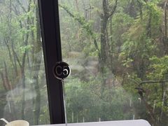 -润泽天·湘味家宴(岳麓山店)