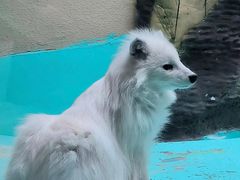 -青藏高原野生动物园