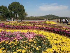 -上海月湖雕塑公园