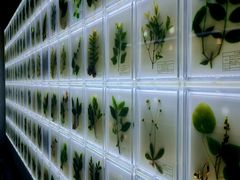 -广东中医药博物馆