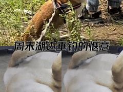 -苏州东太湖生态园