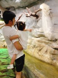 -Zoolung Zoolung动物主题公园(海信广场店)