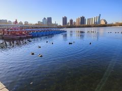 -莲花池公园