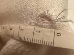 -曹树华专业无痕织补