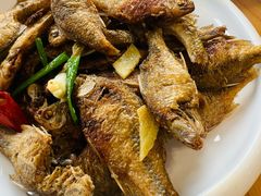 -品鲜村农家菜·阳澄湖大闸蟹(总店)