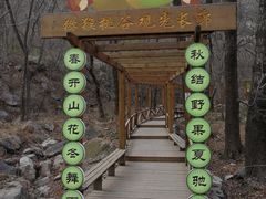 -大岭沟猕猴桃谷风景区