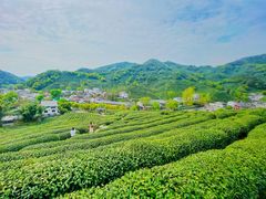 -龙井壹号·茶缘山景宴(龙井村店)