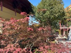 -方山风景区定林寺