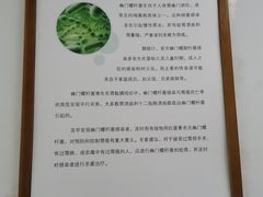 -上海天伦医院