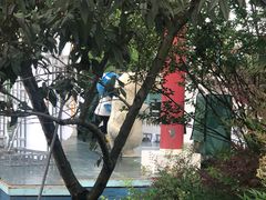 -成都欢乐谷