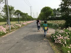 -上海长兴岛郊野公园