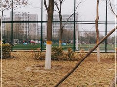 -回龙观体育文化公园