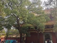 -南岳衡山风景名胜区-南岳大庙