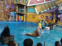 -烟台海昌鲸鲨海洋公园