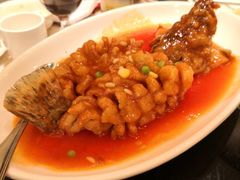 -新南华大酒店(长寿店)