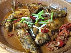 -将军关探险漂流